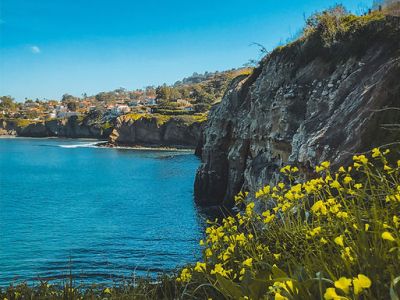 San Diego Travel&nbsp;Guide