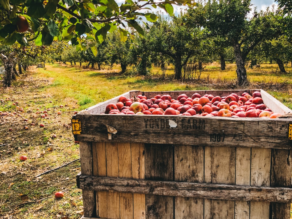 Fall in the Lower Berkshires Day&nbsp;Trip